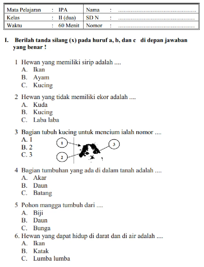 Bersiap Hadapi Penilaian Akhir Semester 1 Panduan Lengkap Contoh Soal