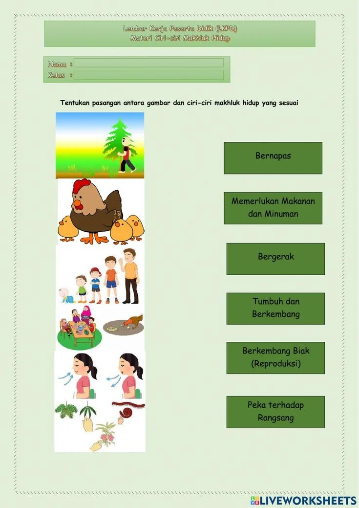 Ciri-ciri makhluk hidup Ilmu Pengetahuan Alam IPA worksheet