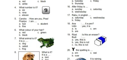 Menguasai Bahasa Inggris Kelas XI Semester 1 Panduan Lengkap dengan