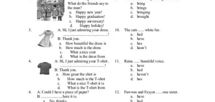 Soal Tryout Bahasa Inggris Kelas 9 Dalchaebi