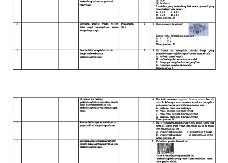 Akhirnya Terungkap 7 Kisi Kisi Soal KTSP Kelas 3 SD Websiteedukasi 2026 Wajib Tahu
