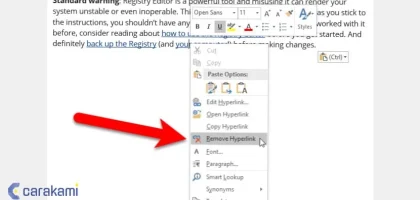 7 Cara Menghapus Hyperlink Dokumen Microsoft Word