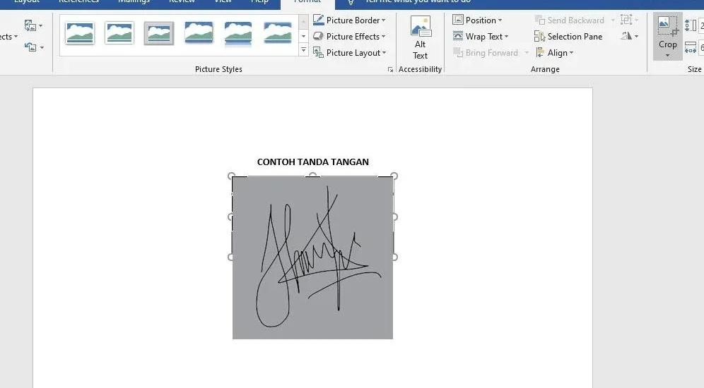 Cara Membuat Tanda Tangan di Word 2007 dengan 3 Trik Mudah yang Jarang Diketahui