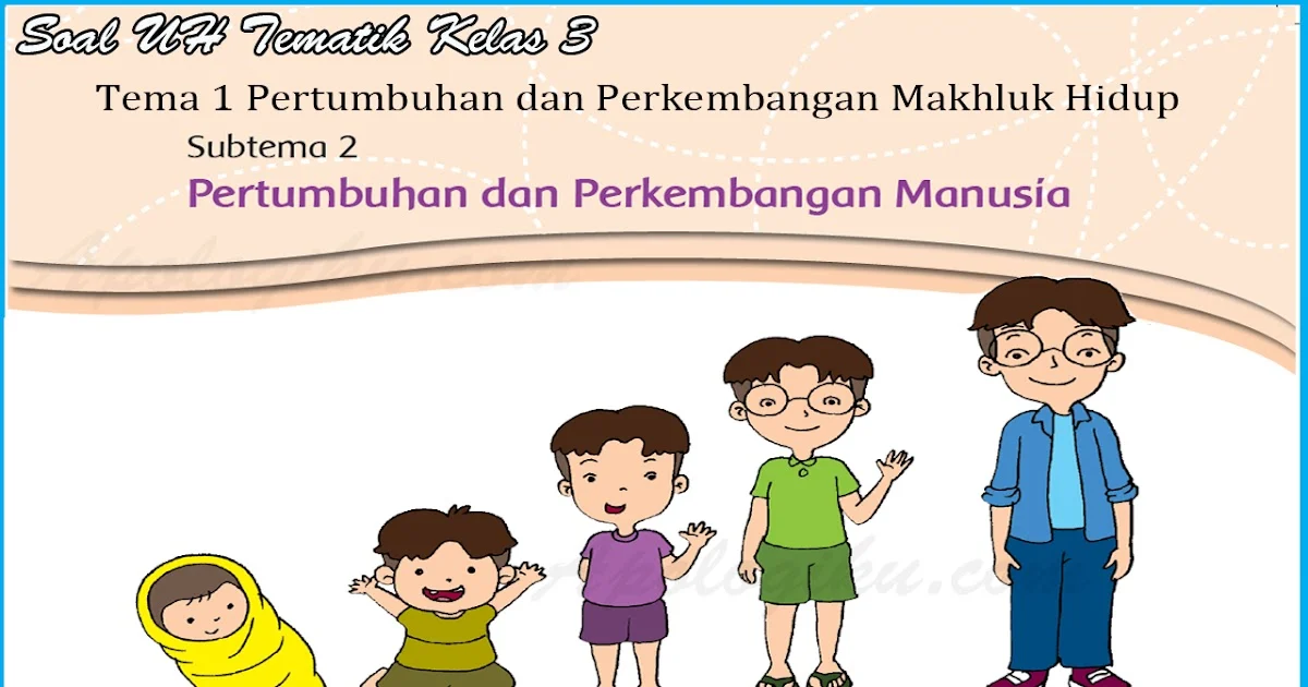Rahasia Sukses Belajar Latihan Soal Tematik Kelas 3 Tema 1 Subtema 2 Agar Nilai Maksimal